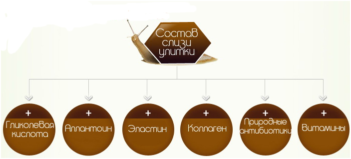 Слизь улитки