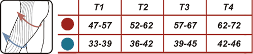 quad-razm.gif quad-razm.gif