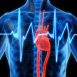HRI - система контроля сердцебиения